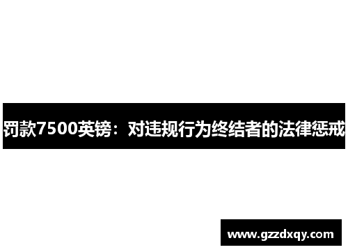 罚款7500英镑：对违规行为终结者的法律惩戒